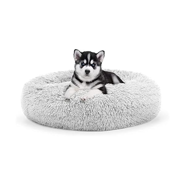 Geizire-Cat-Beds-for-Indoor-Cats-Cat-BedSmall-Dog-Beds-for-Small-Dogs-24-Washable-Donut-Calming-Round-Cat-BedSoft-Fluffy-Warm-and-Cozy-Anti-Anxiety-Cuddler-Joint-Relief-Cat-Bed-Dog-Bed Geizire-Cat-Beds-for-Indoor-Cats-Cat-BedSmall-Dog-Beds-for-Small-Dogs-24-Washable-Donut-Calming-Round-Cat-BedSoft-Fluffy-Warm-and-Cozy-Anti-Anxiety-Cuddler-Joint-Relief-Cat-Bed-Dog-Bed
