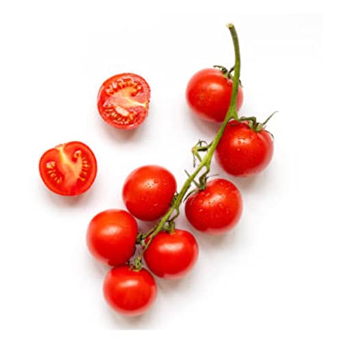 Sementes de Tomate Cereja Vermelho Yubi FELTRIN