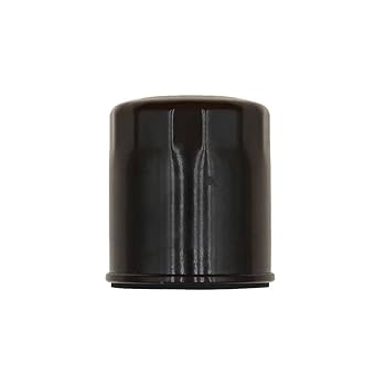 Amazon.com: RAParts 6600 Oil Filter Fits Rotary WS4967 Fits