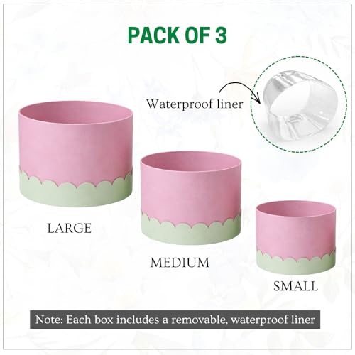 Image of Oasis Pack of 3 Premium Round Gift & Flower Hamper Boxes With Scalloped Lid | Classic Bouquet Box for Flower Arrangements & Gift Hampers | Decorative Gift Packaging Box With Waterproof Liner - Purple & Green