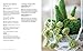 Modern Crochet Garden: Stylish Flower & Succulent Patterns to Stitch in a Day (22 Quick Projects)