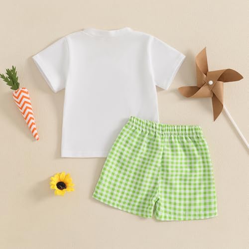 Image of Toddler Baby Boy Easter Rabbit Outfit Short Sleeve Bunny Carrot Smocked T-shirt Elastic Waist Shorts Summer Clothes