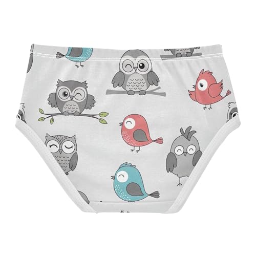 Bright Girls Underwear Toddler 2t Cotton Cute Panties Girl Cute Cartoon Owls Birds Grey Kids Briefs Undies2