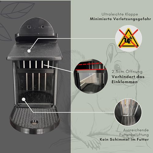 Eichhörnchen Futterhaus Braun – Wetterfest & Stabil mit Kunststoffscheibe, Belüftetem Futterreservoir & Rutschfester Sitzfläche – Sicher & Langlebig für Garten & Balkon (Braun)