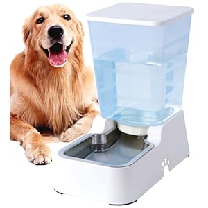Distributeur automatique de nourriture pour chien de 5 l et distributeur d&rsquo;eau pour chiens de taille moyenne et grande taille et autres animaux domestiques (distributeur d&rsquo;eau blanc de 5 l)