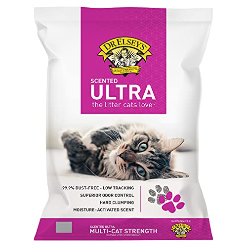 Best Cat Litter Sand