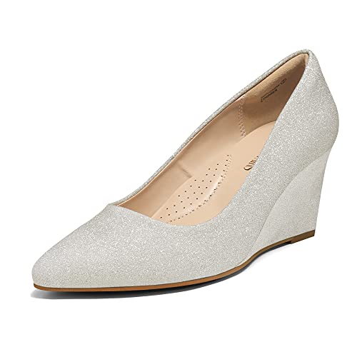 DREAM PAIRS Women's Wedges Closed Toe High Heels Dress Wedding Bride Pointed Toe Pumps Shoes 8.5 Silver