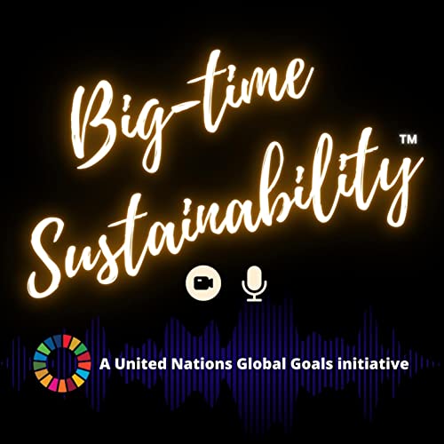 Big-time Sustainability Titelbild
