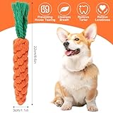 Parastar 3 Stück Hundespielzeug Karotte,Hundespielzeug für Kleine Hunde Welpenspielzeug Set,Puppy Karotte Seil Spielzeug Geflochtene,Kauspielzeug Welpe für Kleine Mittelgroße Welpen