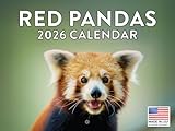 Red Panda Calendar 2026 Monthly Wall Calender 12 Month | American Made In The USA
