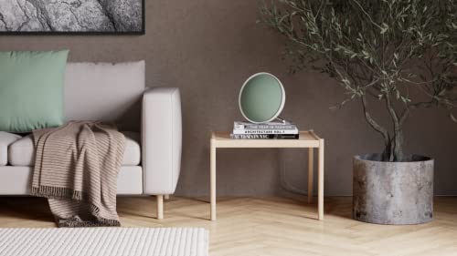 Defunc Home Altavoz Inteligente Multiroom de 100W - Altavoz Bluetooth 5.0 Compatible con Alexa y Airplay2, Sonido Potente, Soporte de Pared o Suelo, Blanco