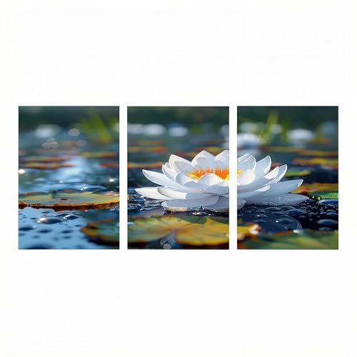 Peinture par numéro fleur pour décoration maison salon chaleureux lot de 3