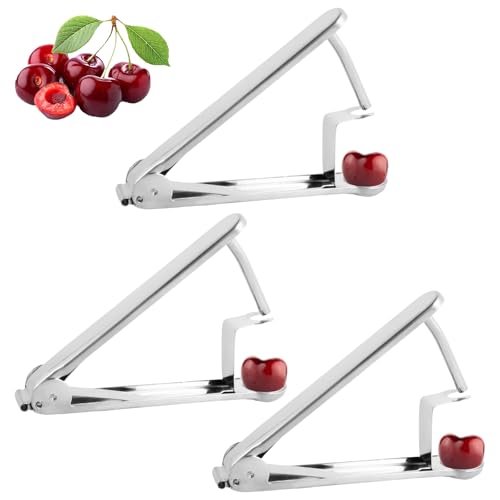 ZLHETWT - 3 Pcs Stainless Steel Cherry Pitters Cherry Pitter Tool Pit Removers Cherry Seed Removers Reusable Pitting Cherry Tools Machine Cherry Seed Remover Tools for Cherry Jam