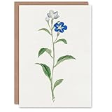 Quality Cards: Our blank greeting cards are printed onto thick, luxurious art paper. Each greeting card comes with a corresponding premium envelope.