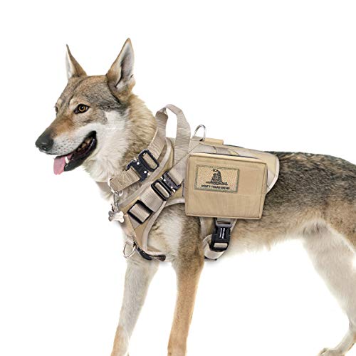 winsee dog harness