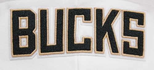 Image of Pro Standard Womens NBA Classic Chenille Pull Over Hoodie
