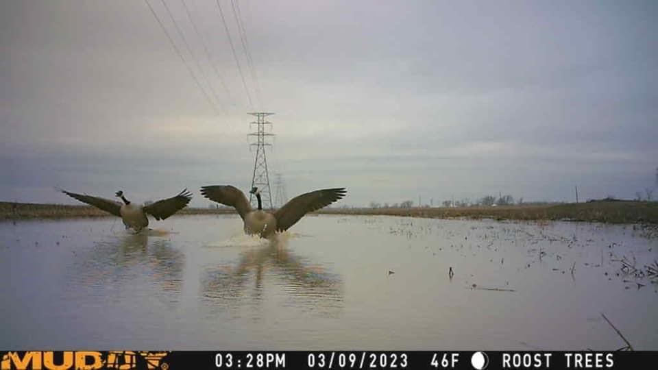 MUDDY Mitigator camera mounted on a tripod in a field.