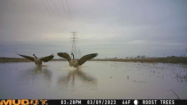 Muddy - Mitigator Cellular Camera / 20Mp / Dual (MUD-MTGTR) by Muddy - Image 5