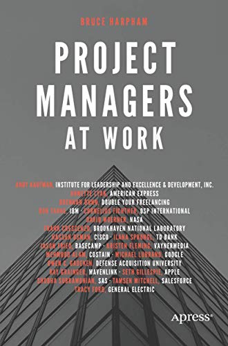 Project Managers at Work view 2