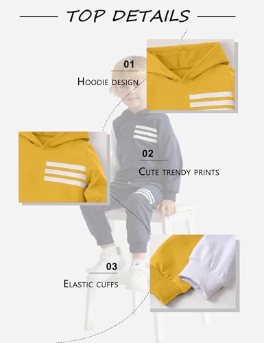 Image of Toddler Boy Clothes Long Sleeve Hoodie Sweatsuits Tops and Pants 2Pcs Boys Fall Winter Outfits Set