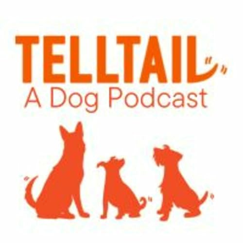 Telltail Dog Podcast Por Elizabeth Silverstein arte de portada