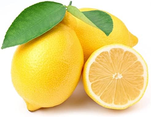 50 Lemon Seeds for Planting Non-GMO Heirloom and Organic High Survival Rate Lemon Tree Seeds Planting for Home Garden - 2