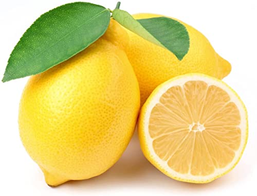 Lemon Seeds For Planting - 50 Seeds, Non-Gmo Heirloom And Organic High Survival Rate Lemon Tree Seeds Planting For Home Garden #TOP3