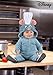 Infant Disney and Pixar Ratatouille Remy Costume with Plush Jumpsuit & Attached Hood for Baby Halloween Dress Up Outfit 12/18 Months