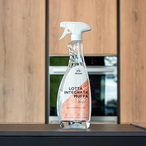 Dory Rimuovi Muffa Legno 700 ml