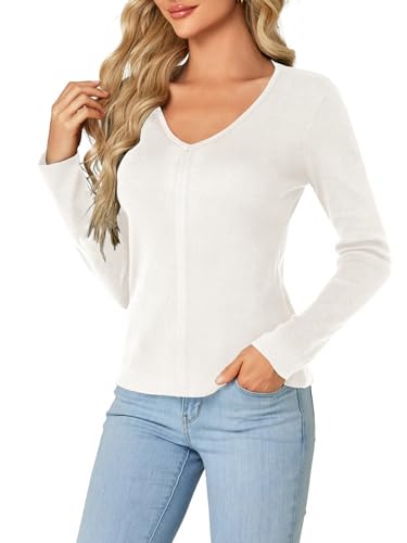 LYANER Women's 2024 Fall Sweaters V Neck Long Sleeve Slim Fit Pullover Knitted Tops3