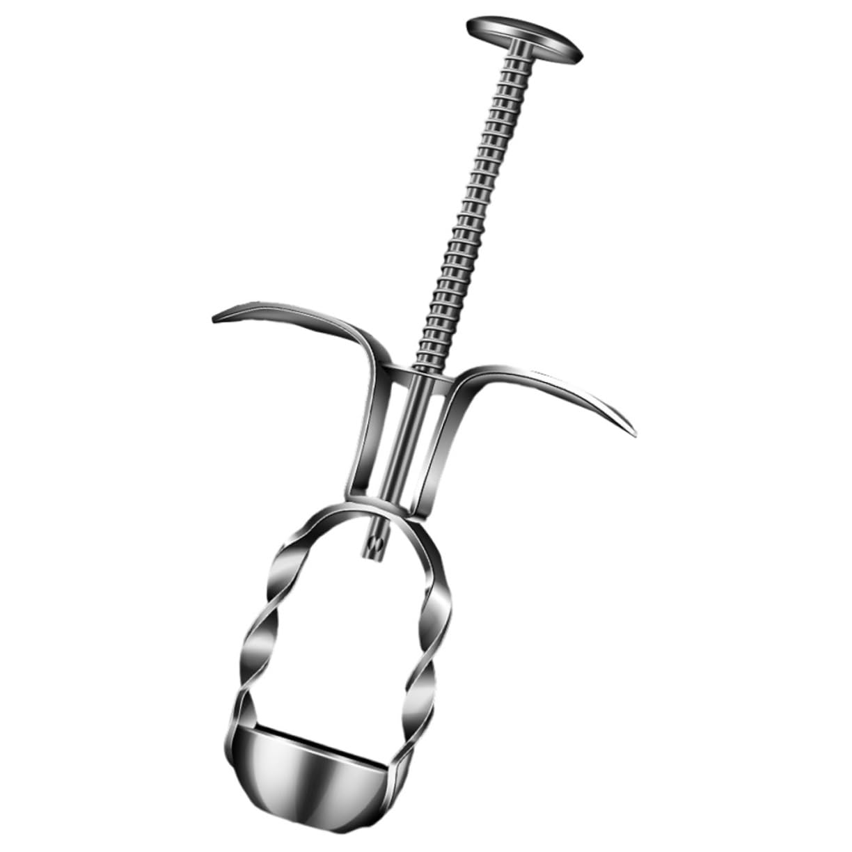 HOLIDYOYO Jujube Pitter Tool Ergonomic Cherry Core Tool for Easy Date Jujube Pitting Effortless Design