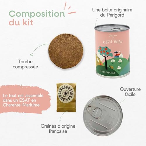 Graines de fleurs sauvages : kit de semis ultra simple