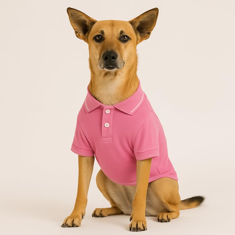 Image of Thunder Tails Premium Cotton Polo Dog T-Shirt | for Medium Dogs | Pink | 2XL | for Cocker Spaniel, Hound, Beagle & Corgi