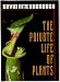 The Private Life of Plants