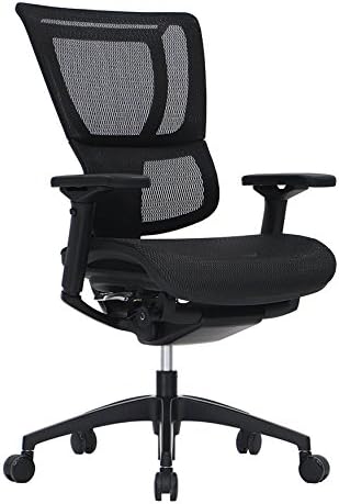 iOO Eurotech Office Ergonomic Chair Black Mesh and Black Frame with Head Rest