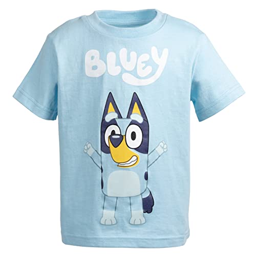 Bluey Matching Family T-Shirt Toddler to Adult Sizes (2T - 3XL)2