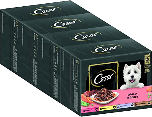 Cesar Adult Hundenassfutter Selektion in Sauce, 48 Portionsbeutel, 12x100g (4er Pack) – Ausgewogenes Premium Hundefutter nass, Auswahl mit Rind, Huhn, Lamm und Truthahn