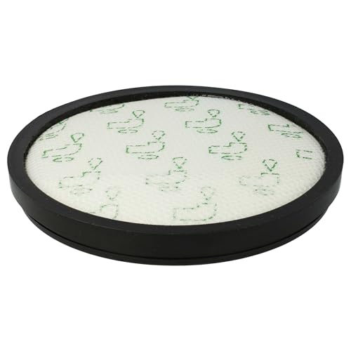 Filtre Rowenta X-Trem Power Cyclonic RO6920EA pour maison saine