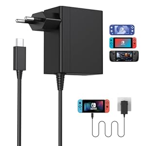 Ysstkfd Switch 39W Ladegerät Netzadapter