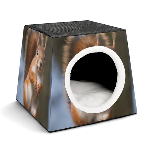 Maison pour chats d'intérieur et petits chiens en hiver - 2