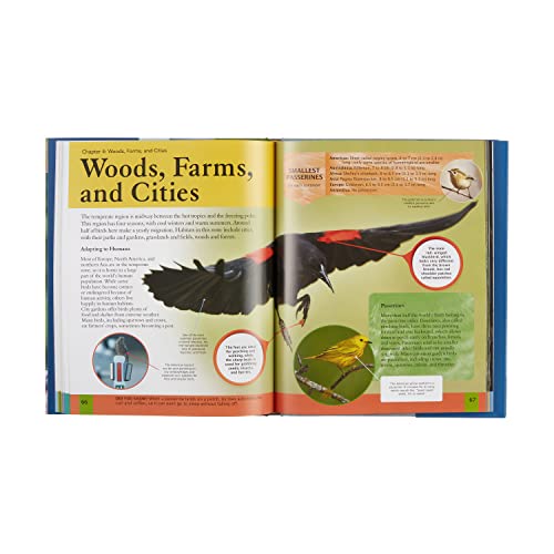 Children's Encyclopedia of Birds (Arcturus Children's Reference Library, 9) - Image 3
