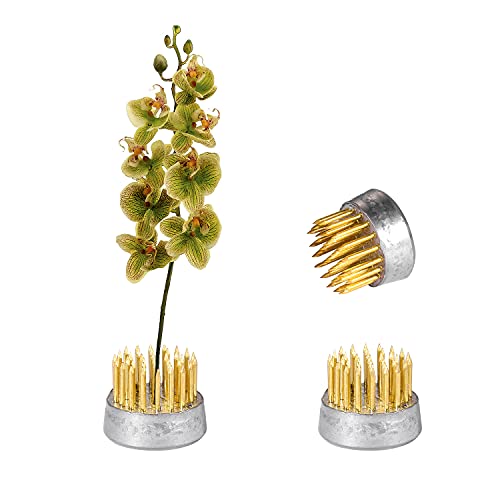 Zk Home 10Pcs Kenzan Ikebana Flower Frogs Mini Kenzan Pin Frog Flower Arranging Frog Spiky Frog Fixed Tools Floral Arrangement Pin Holder Round (0.9Inch) #TOP4