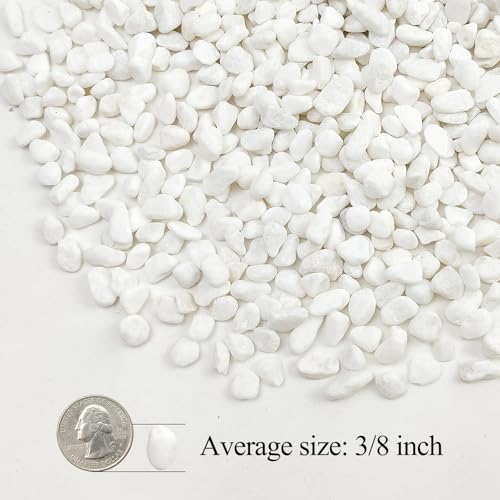 Image of 20lbs White Pebbles for Landscaping, 3 /8inch Small Rocks for Gardening Succulent Cactus Planters, Natural Polished Pebbles, River Rocks for Plants, Vases
