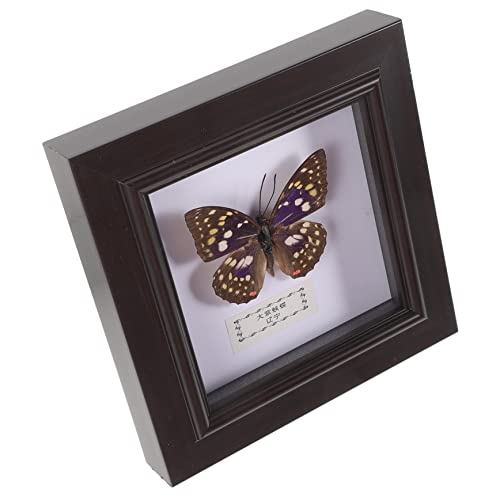 FELTECHELECTR Butterfly Specimen Display Frame Elegant Wall Decor Desktop Ornament Vintage Creative