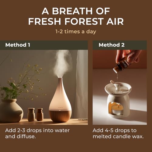 Gya Labs Camphor Essential Oil (0.34 Fl Oz (Pack of 1)) - Fresh, Sharp & Slightly Woody Scent [4]