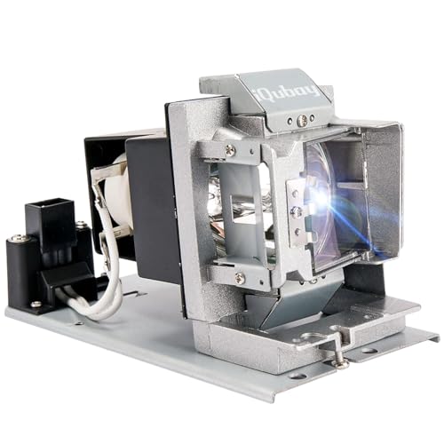 iQubay A+ Quality for SP-LAMP-088 for SP-LAMP-092 for Infocus IN3130a IN3134a IN3136a IN3138HDa IN3138HD H1188 H1189 HT4050 W1350 W3000 5J.JD305.001 5811120259-SVV Replacement Projector Lamp Bulb
