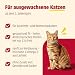 animonda Carny Katzen Trockenfutter Steilised Huhn + Pute (1 x 1,75kg)
