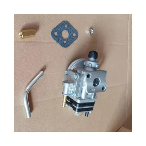 Carburateur C350 pour pièce A021002470 afin d'entretenir un grand jardin