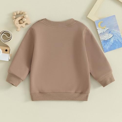 TheFound Toddler Baby Boys Sweatshirts Long Sleeve Crewneck Solid Color Pullover Fall Winter Tops Casual Newborn Baby Clothes4