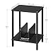 HOOBRO Small End Table, 2-Tier Record Player Stand Vinyl Record Turntable Stand with Storage up to 100 Albums, Small Side Table for Living Room, Bedroom Black, BK05RS01